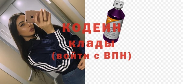 ГАЛЛЮЦИНОГЕННЫЕ ГРИБЫ Вяземский