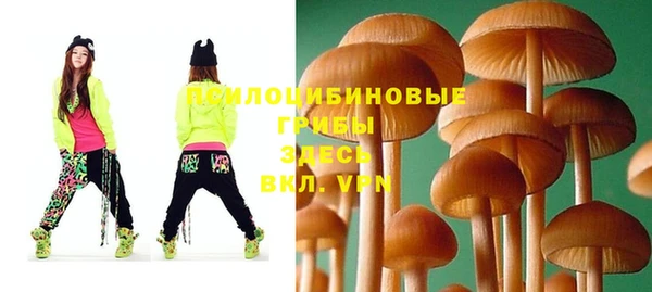 соль ск Вязники