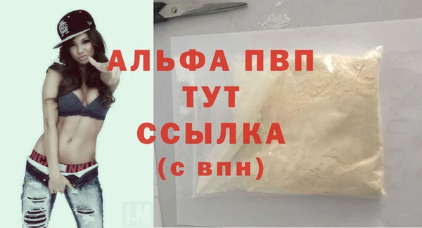 ГАЛЛЮЦИНОГЕННЫЕ ГРИБЫ Вяземский