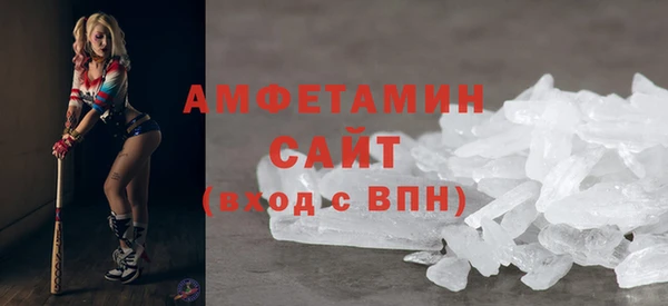 ГАЛЛЮЦИНОГЕННЫЕ ГРИБЫ Вяземский