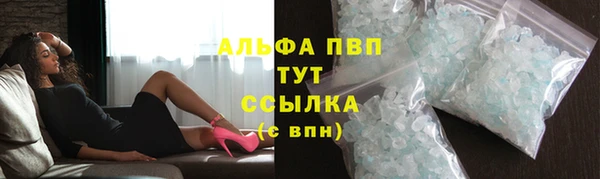 ГАЛЛЮЦИНОГЕННЫЕ ГРИБЫ Вяземский