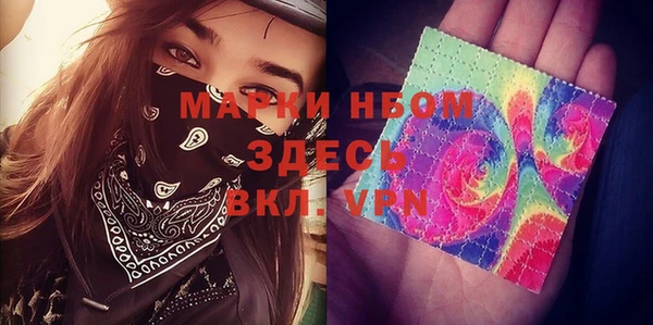 шишки Вязьма