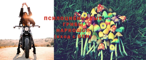соль ск Вязники