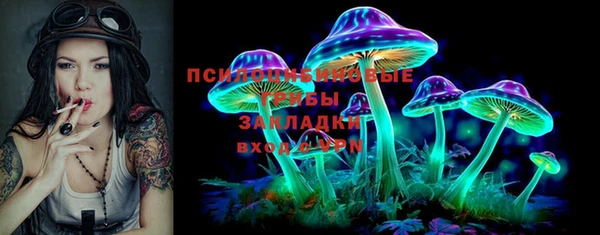 соль ск Вязники