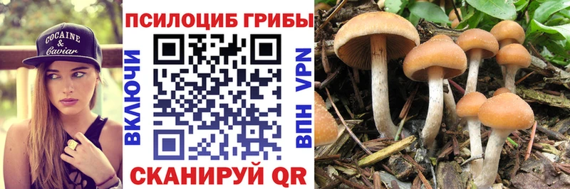 Галлюциногенные грибы ЛСД  Купить  Новоалександровск 